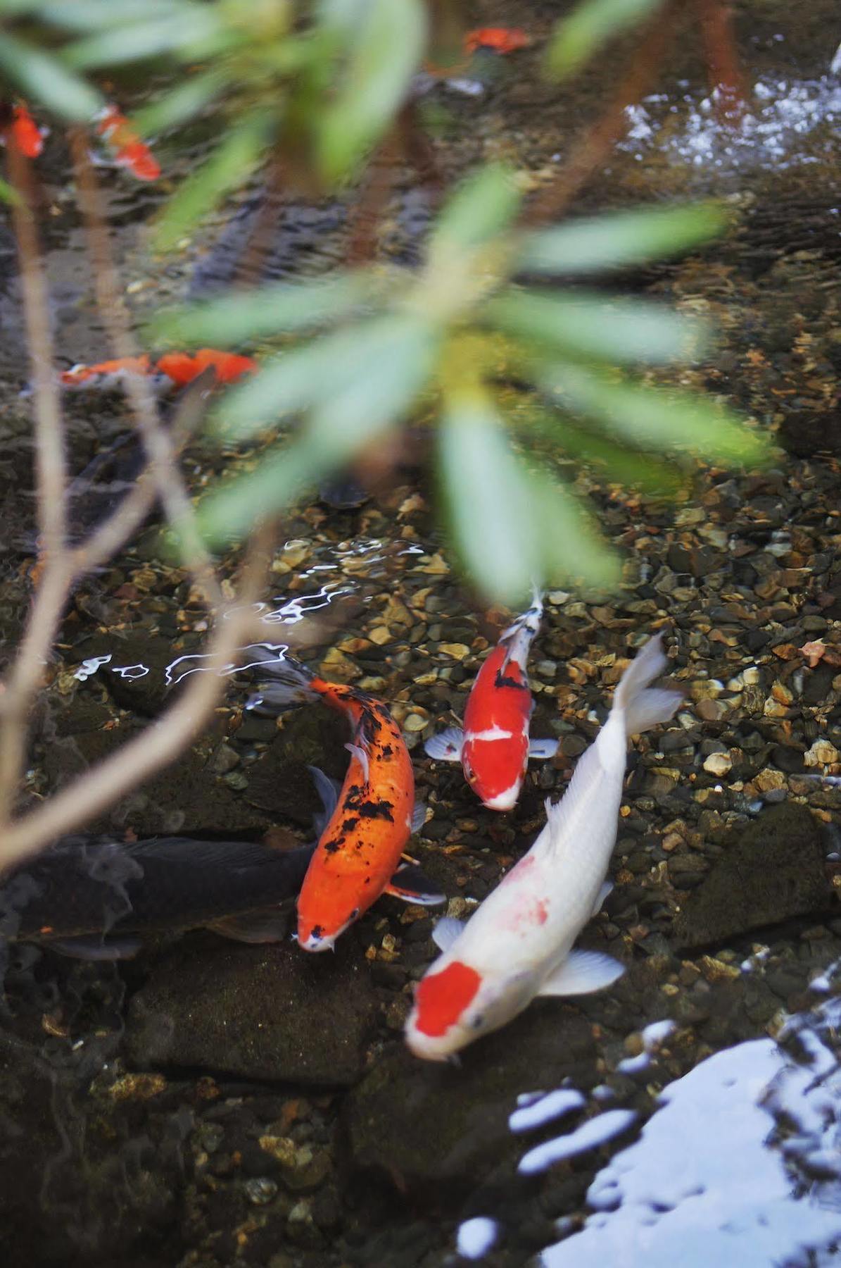 Senjukaku Hotel Yamanouchi  Bagian luar foto
